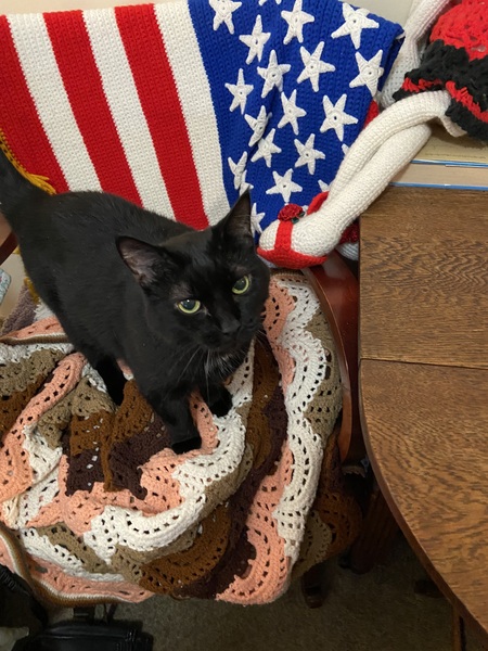 Entry image for Heather. Clicking this image will show a larger photo