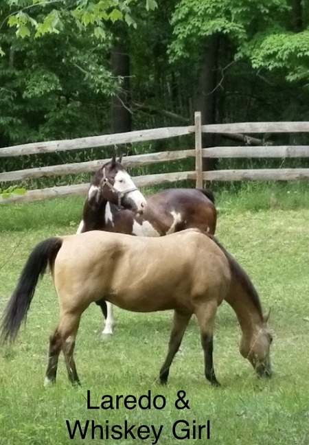 Entry image for Laredo & Whiskey Girl. Clicking this image will show a larger photo