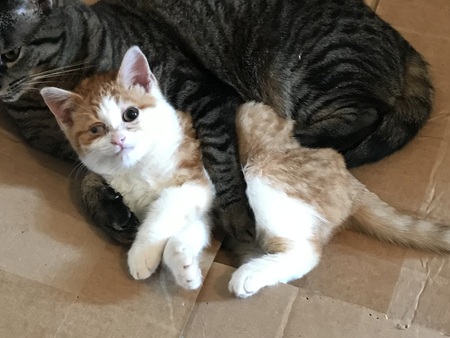 Entry image for William. Clicking this image will show a larger photo