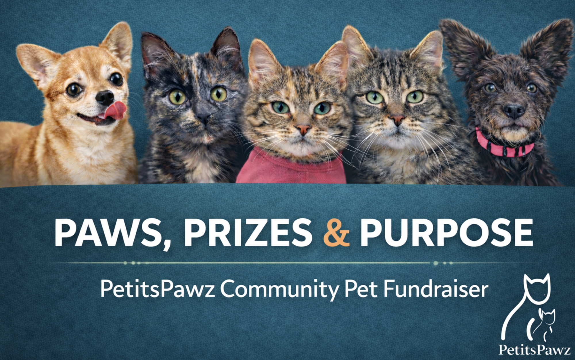 Banner for PAWS, PRIZES & PURPOSE - Cat & Dog Photo Contest