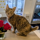 Entry image for Gina