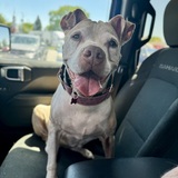 Entry image for Kira