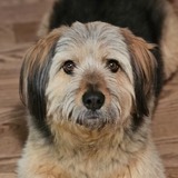 Entry image for Boeing