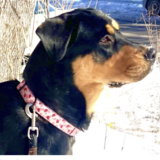 Entry image for Jerry