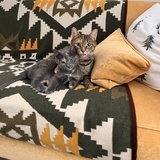 Entry image for Willow and Bourbon 