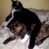 Entry image for Melvyn and Bailey