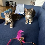 Entry image for Oliver and Benjamin