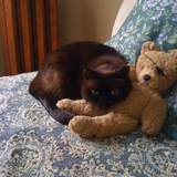 Entry image for Isaac