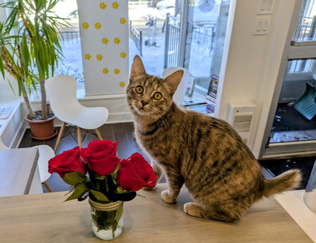 Entry image for Gina. Clicking this image will show a larger photo