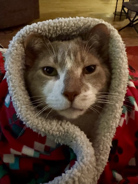 Entry image for Ben. Clicking this image will show a larger photo