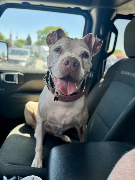 Entry image for Kira. Clicking this image will show a larger photo