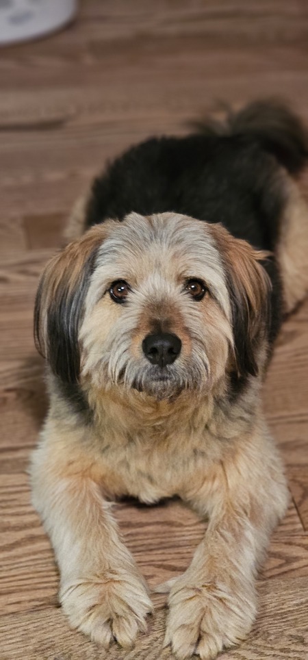 Entry image for Boeing. Clicking this image will show a larger photo