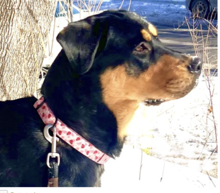 Entry image for Jerry. Clicking this image will show a larger photo