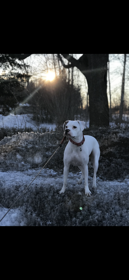 Entry image for Tess. Clicking this image will show a larger photo