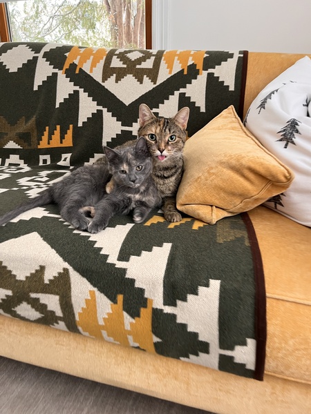 Entry image for Willow and Bourbon . Clicking this image will show a larger photo