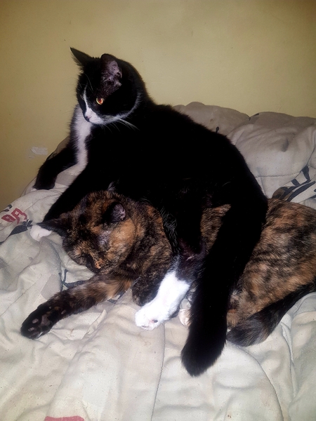 Entry image for Melvyn and Bailey. Clicking this image will show a larger photo