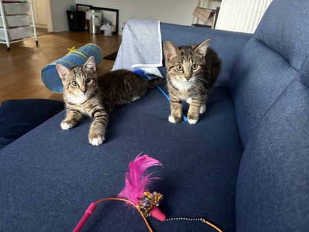 Entry image for Oliver and Benjamin. Clicking this image will show a larger photo