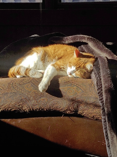 Entry image for Poutine . Clicking this image will show a larger photo