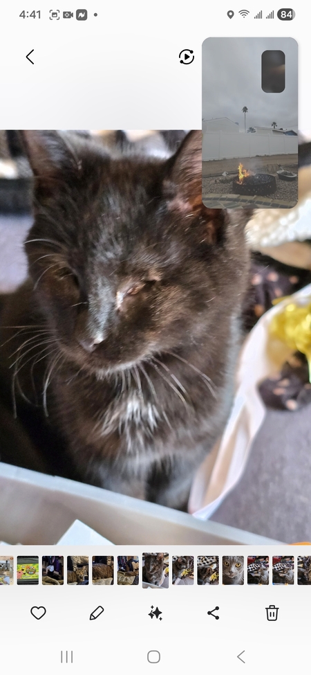 Entry image for ZOEY. Clicking this image will show a larger photo