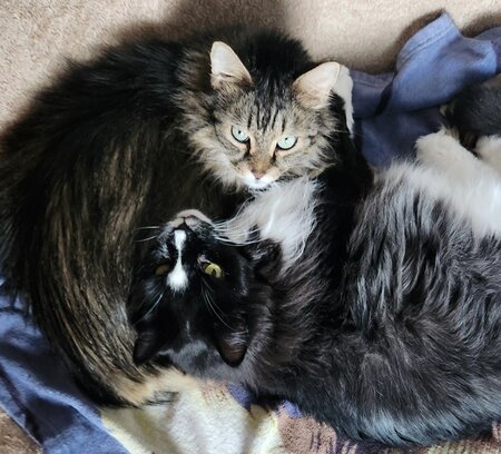 Entry image for Doug & Moe. Clicking this image will show a larger photo