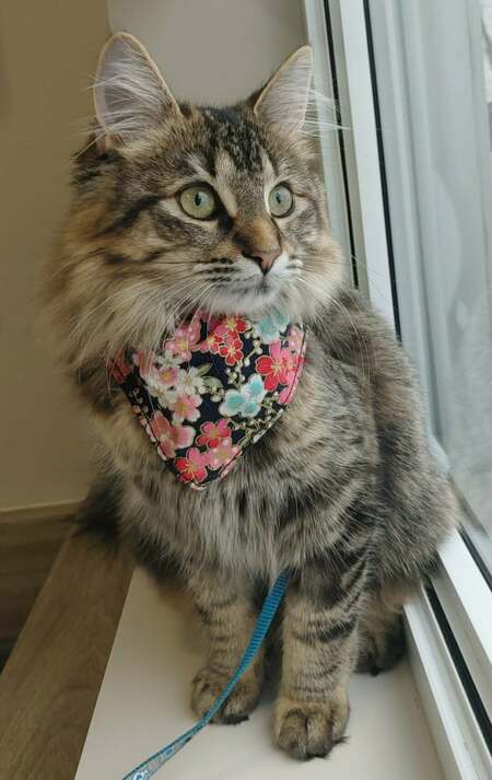 Entry image for Loupie. Clicking this image will show a larger photo