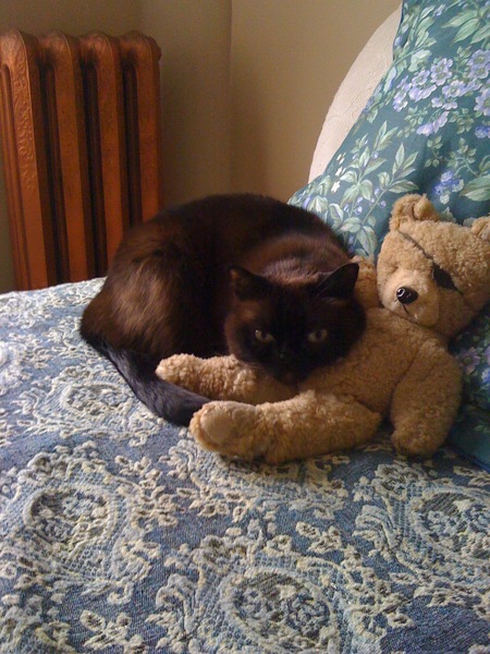 Entry image for Isaac. Clicking this image will show a larger photo