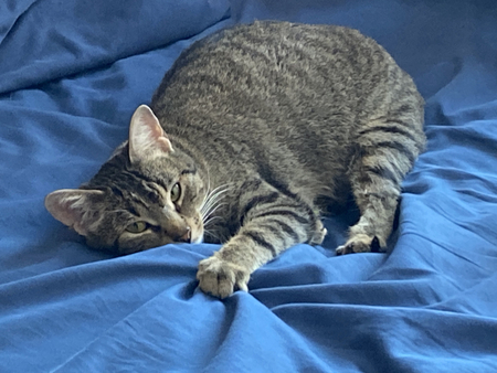 Entry image for Cecile. Clicking this image will show a larger photo