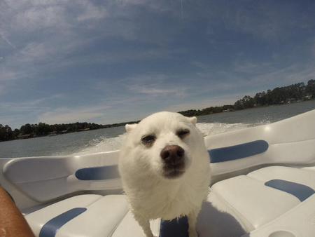 Boating Starr