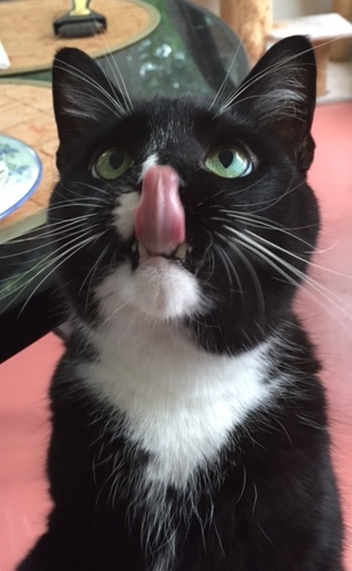 Monty