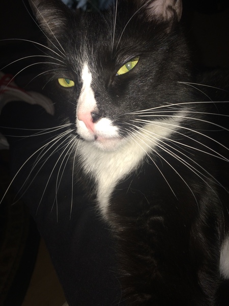Jack