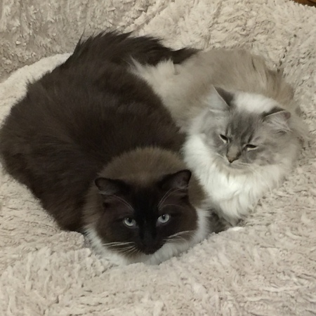 Niko & Conor
