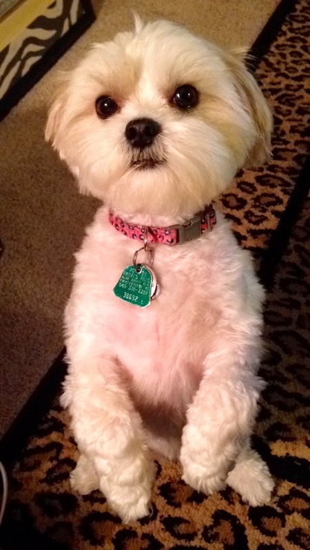 Maizy