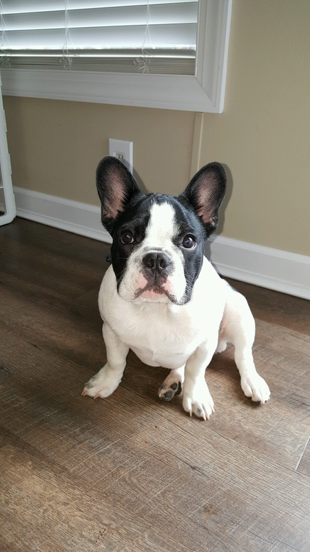  Brady