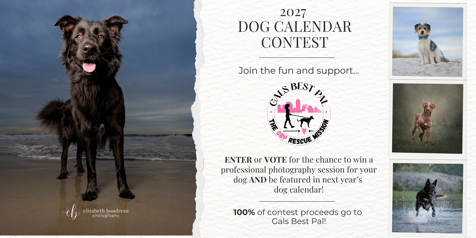 Banner for 2027 Dog Calendar Photo Contest
