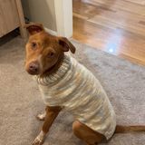 Entry image for Major