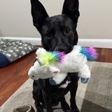 Entry image for Caleb