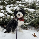 Entry image for Betty