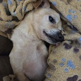 Entry image for Kobe 