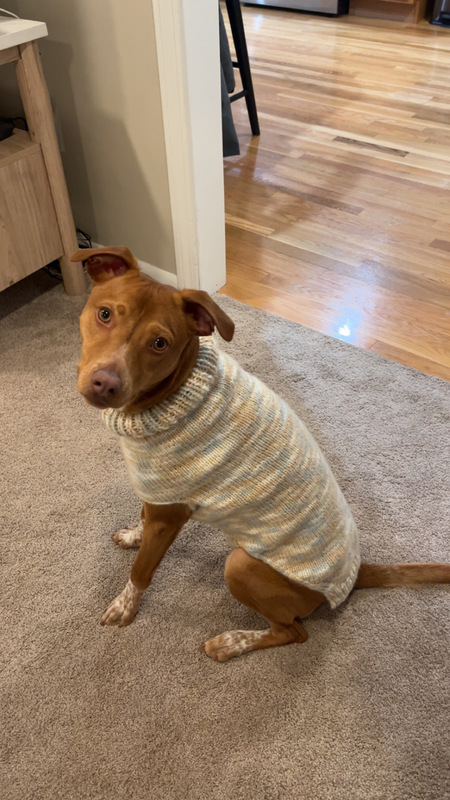 Entry image for Major. Clicking this image will show a larger photo