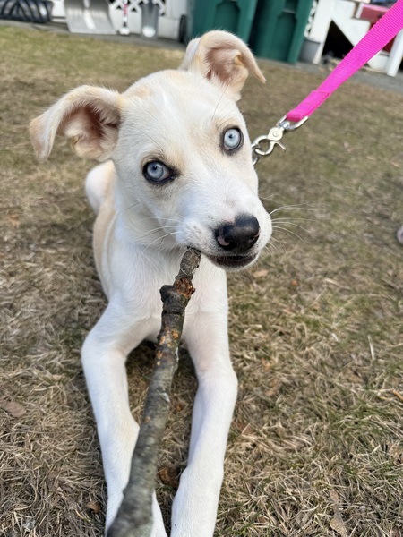 Entry image for Remi. Clicking this image will show a larger photo