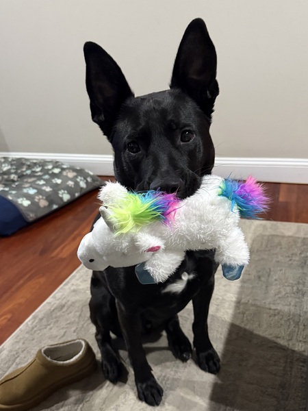 Entry image for Caleb. Clicking this image will show a larger photo