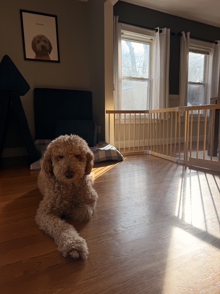 Entry image for Lincoln Eugene O’Toole . Clicking this image will show a larger photo