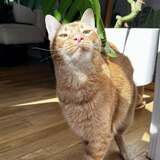 Entry image for Fred