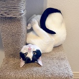 Entry image for Hana