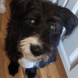 Entry image for Emma Jean