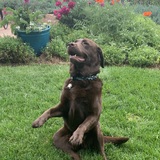 Entry image for Fiona