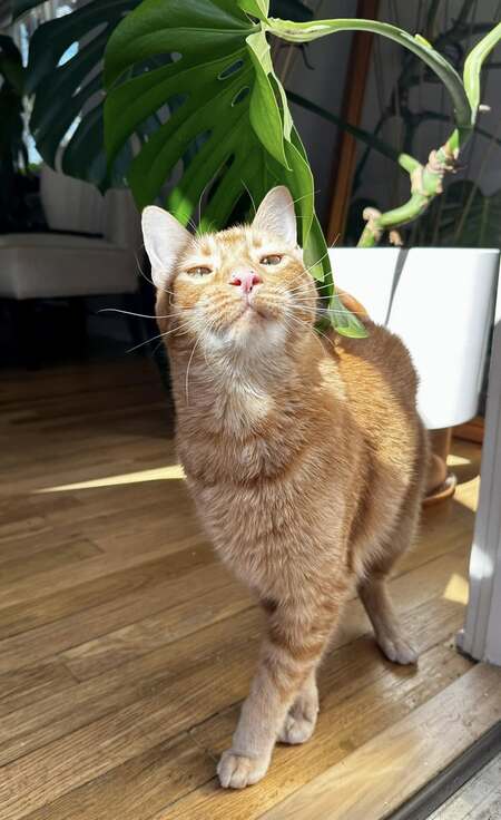 Entry image for Fred. Clicking this image will show a larger photo