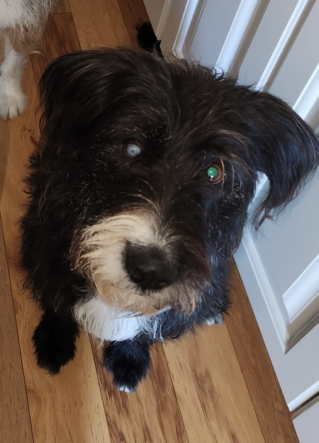 Entry image for Emma Jean. Clicking this image will show a larger photo