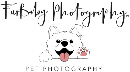https://www.furbabyphotographyco.com/