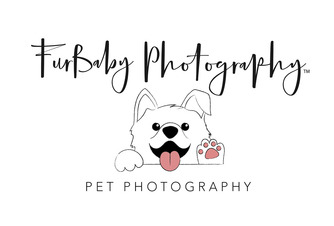 https://www.furbabyphotographyco.com/